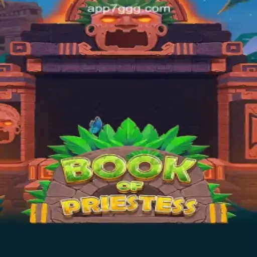 Exploring the World of BookOfPriestess: A New Online Slot Phenomenon
